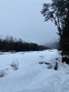 PHOTO-2026-02-12-16-55-41