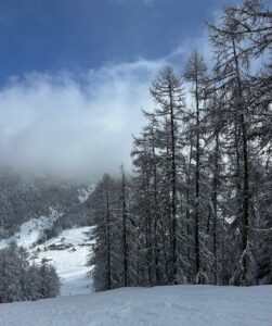 PHOTO-2026-02-12-16-55-42 4