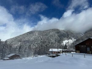 PHOTO-2026-02-12-16-55-49