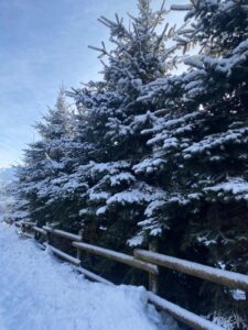 PHOTO-2026-02-13-12-42-36 2