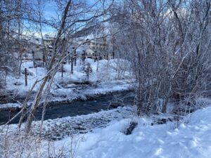 PHOTO-2026-02-13-12-42-36 5