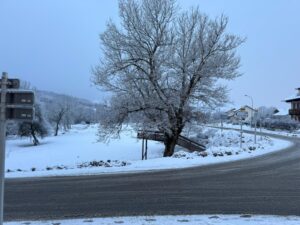 PHOTO-2026-02-13-12-59-56