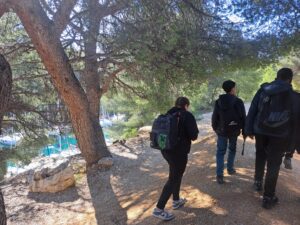 20260324_104714 20260324_104714